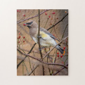 Cedar Waxwing | Jigsaw Puzzle