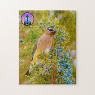 Cedar Waxwing Jigsaw Puzzle