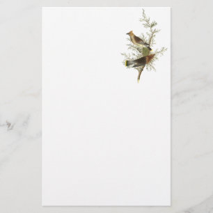 Cedar Waxwing, John Audubon