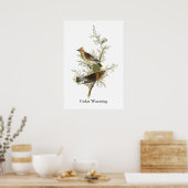 Cedar Waxwing, John Audubon Poster (Küche)
