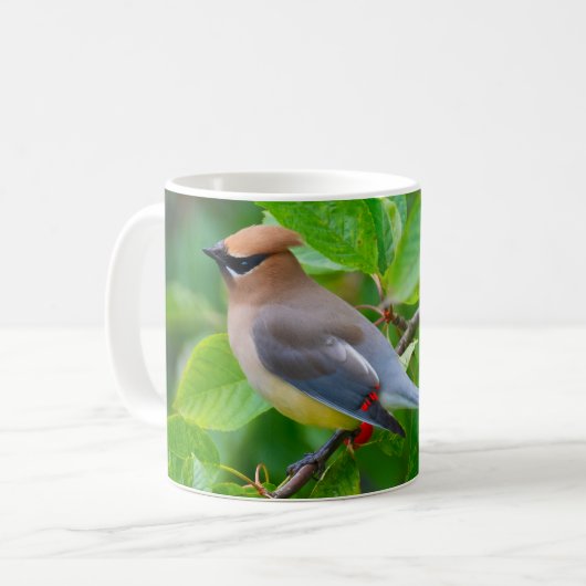 Cedar Waxwing Kaffeetasse (Vorderseite Links)
