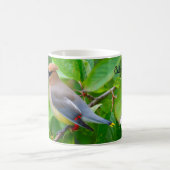 Cedar Waxwing Kaffeetasse (Mittel)