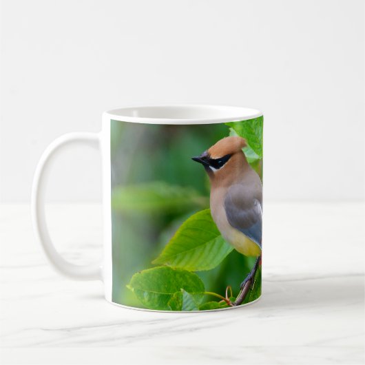 Cedar Waxwing Kaffeetasse (Links)