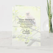 Cedar Waxwing Karte (Rückseite)