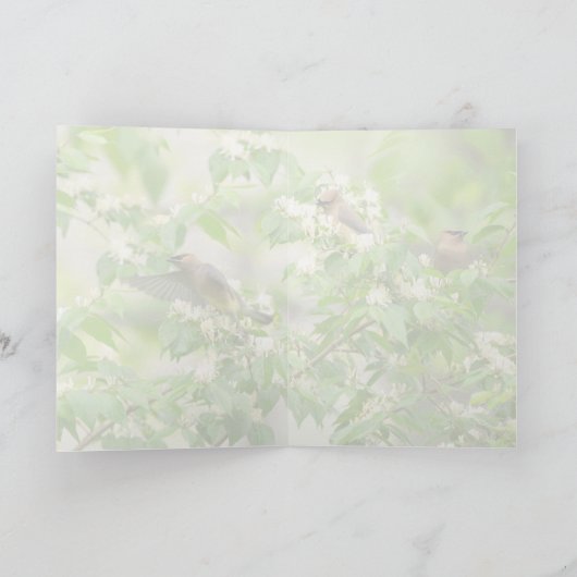 Cedar Waxwing Karte (Innenseite)