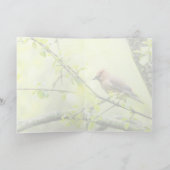 Cedar Waxwing Karte (Innenseite)