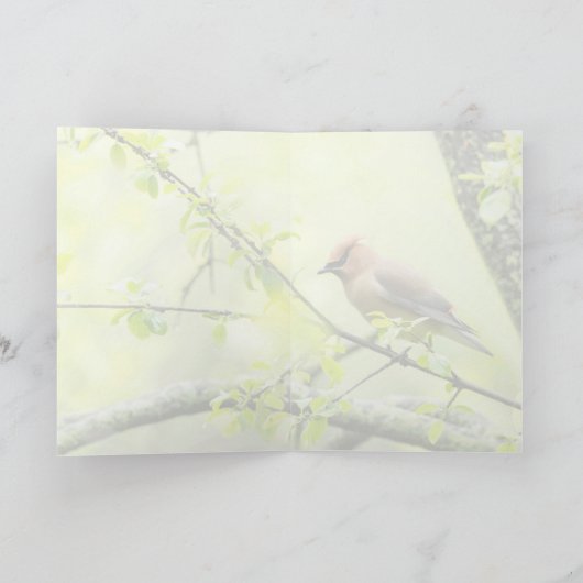 Cedar Waxwing Karte (Innenseite)