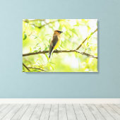 Cedar Waxwing Leinwanddruck (Insitu (Holzboden))