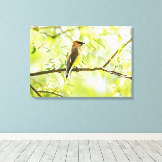Cedar Waxwing Leinwanddruck (Insitu (Holzboden))