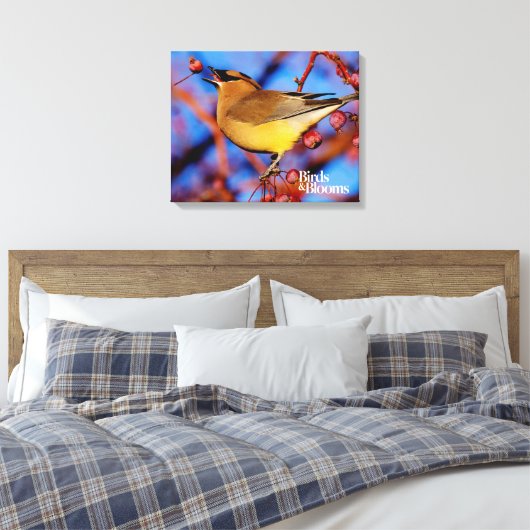 Cedar Waxwing Leinwanddruck (Insitu (Schlafzimmer))