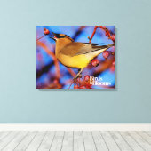 Cedar Waxwing Leinwanddruck (Insitu (Holzboden))