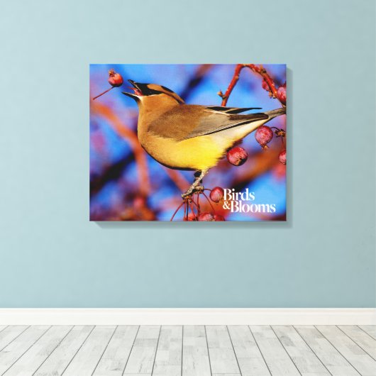 Cedar Waxwing Leinwanddruck (Insitu (Holzboden))