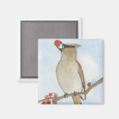 Cedar Waxwing Magnet (Vorderseite/Rückseite)