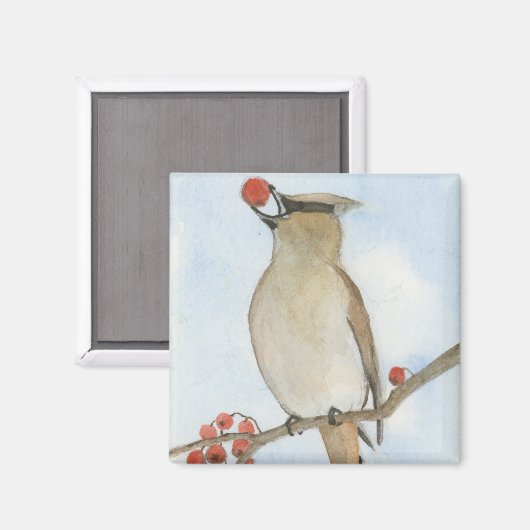 Cedar Waxwing Magnet (Vorderseite/Rückseite)