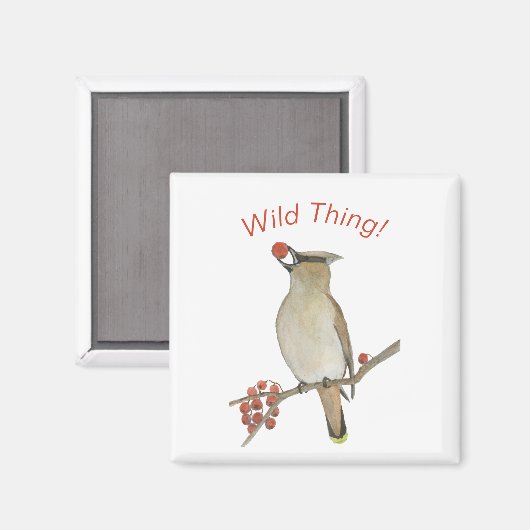 Cedar Waxwing Magnet (Vorderseite/Rückseite)