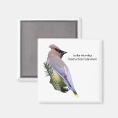 Cedar Waxwing Magnet (Vorderseite/Rückseite)