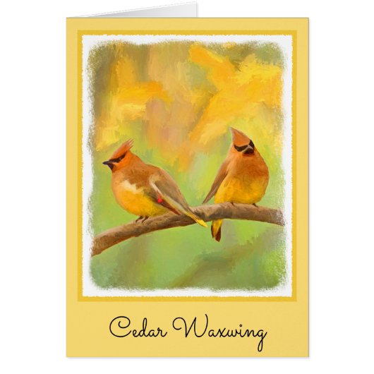 Cedar Waxwing Malerei - Niedliche Original Hunde K (Vorne)