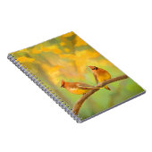 Cedar Waxwing Malerei - Niedliche Original Hunde K Notizblock (Rechte Seite)
