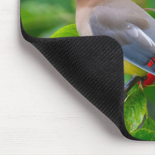 Cedar Waxwing Mousepad (Ecke)