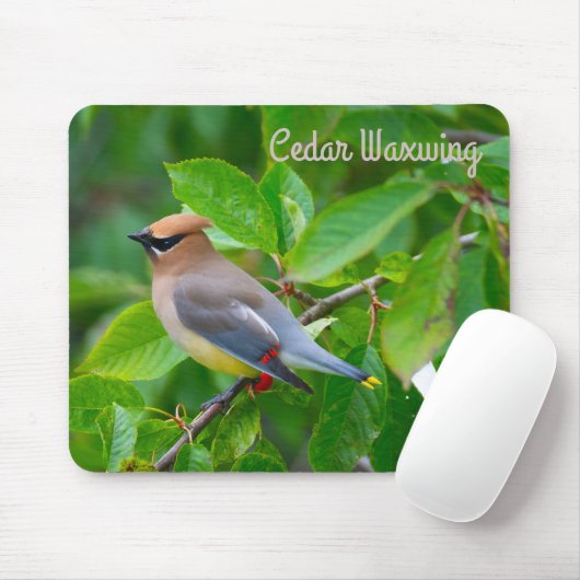 Cedar Waxwing Mousepad (Mit Mouse)