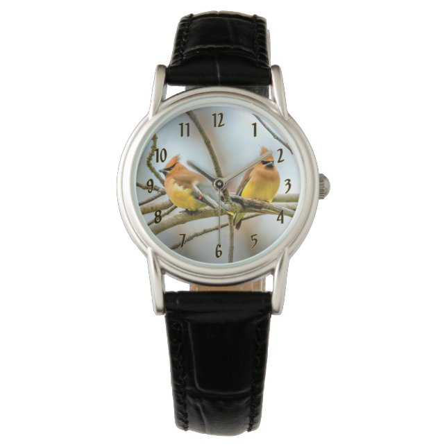 Cedar Waxwing - Original Foto Armbanduhr (Vorderseite)