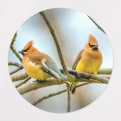 Cedar Waxwing - Original Foto Etiketten (Design 2)