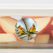 Cedar Waxwing - Original Foto Etiketten (Befestigt)