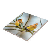 Cedar Waxwing - Original Foto Fliese (Seite)