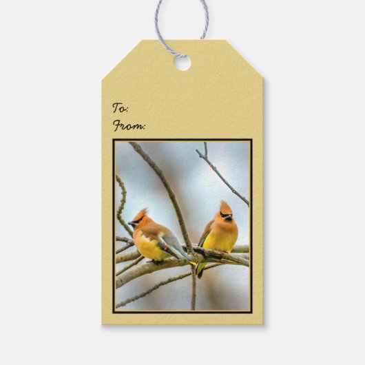 Cedar Waxwing - Original Foto Geschenkanhänger (Vorderseite)