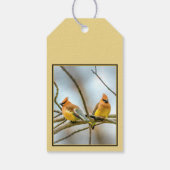 Cedar Waxwing - Original Foto Geschenkanhänger (Rückseite)