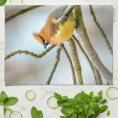 Cedar Waxwing - Original Foto Geschirrtuch (Gefaltet)