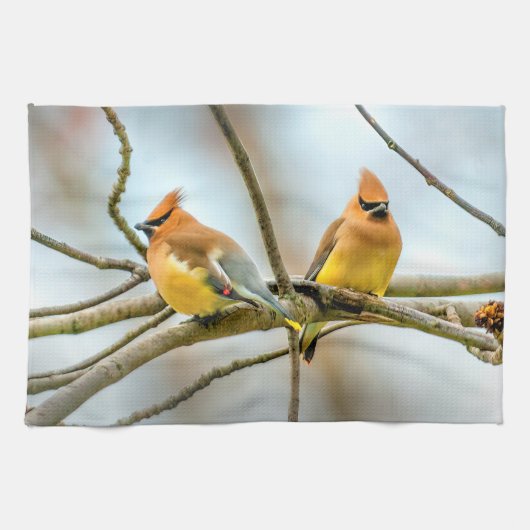 Cedar Waxwing - Original Foto Geschirrtuch (Horizontal)