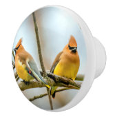 Cedar Waxwing - Original Foto Keramikknauf (Rechts)