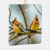 Cedar Waxwing - Original Foto Keramikornament (Rechts)