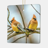 Cedar Waxwing - Original Foto Keramikornament (Links)