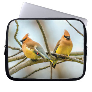 Cedar Waxwing - Original Foto Laptopschutzhülle
