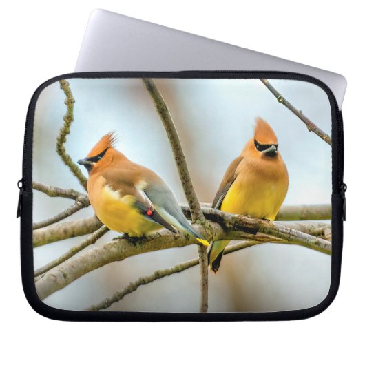 Cedar Waxwing - Original Foto Laptopschutzhülle (Vorderseite)