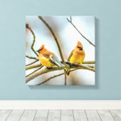 Cedar Waxwing - Original Foto Leinwanddruck (Insitu (Holzboden))