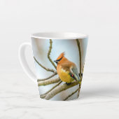 Cedar Waxwing - Original Foto Milchtasse (Linke Ecke)