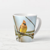 Cedar Waxwing - Original Foto Milchtasse (Rechte Ecke)