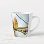 Cedar Waxwing - Original Foto Milchtasse (Rechts)