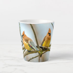 Cedar Waxwing - Original Foto Milchtasse