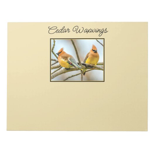 Cedar Waxwing - Original Foto Notizblock (Vorderseite)
