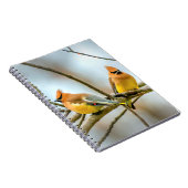 Cedar Waxwing - Original Foto Notizblock (Rechte Seite)
