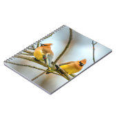Cedar Waxwing - Original Foto Notizblock (Linke Seite)
