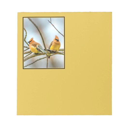 Cedar Waxwing - Original Foto Notizblock (Vorderseite)