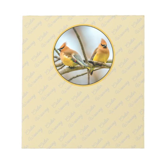 Cedar Waxwing - Original Foto Notizblock (Vorderseite)