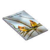 Cedar Waxwing - Original Foto Notizblock (Rechte Seite)