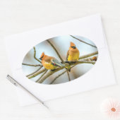 Cedar Waxwing - Original Foto Ovaler Aufkleber (Umschlag)