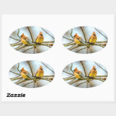 Cedar Waxwing - Original Foto Ovaler Aufkleber (Blatt)